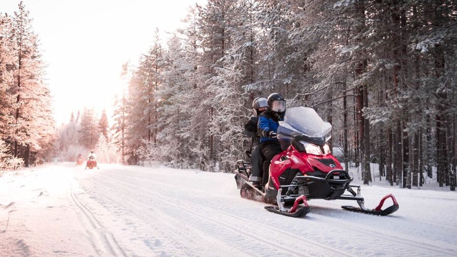 Rovaniemi: Snowmobile Safari into the Arctic Circle Forest - Riding the snowy forest trails
