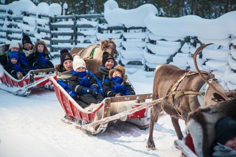 Rovaniemi: Snowmobile Safari to a Reindeer Farm - What the $222 price really covers