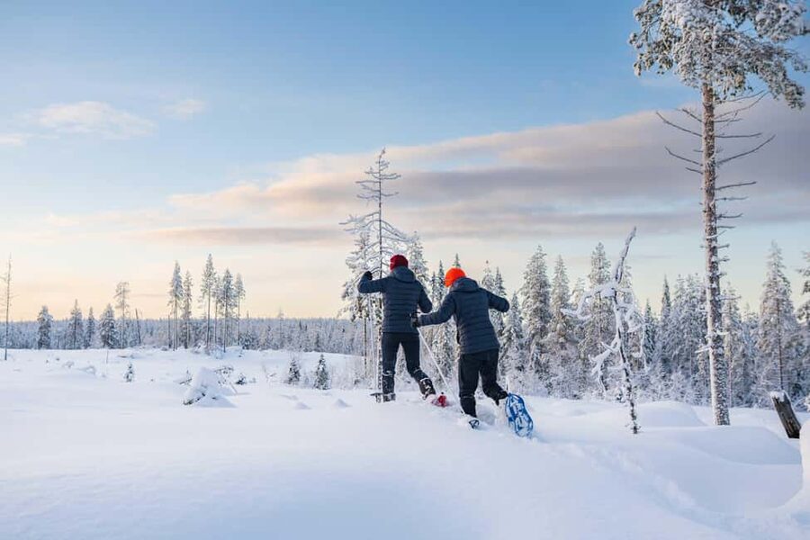 Rovaniemi: Snowshoe Wilderness Adventure - Leaving Rovaniemi for the forest