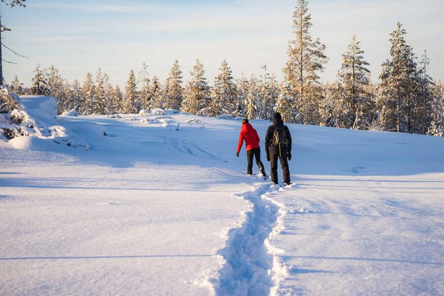 Rovaniemi: Snowshoe Wilderness Adventure - Guides who shape the experience