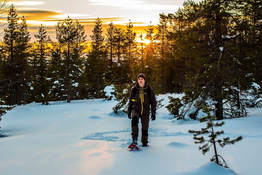 Rovaniemi: Snowshoe Wilderness Adventure - Timing, effort, and the right type of visitor