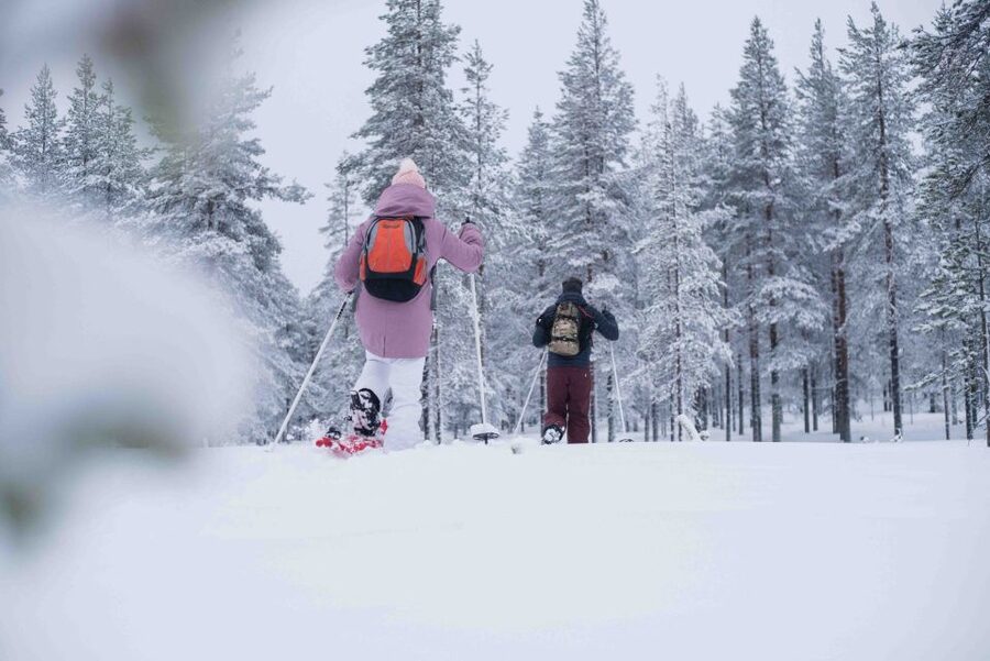 Rovaniemi: Snowshoe Wilderness Adventure - Booking details that matter