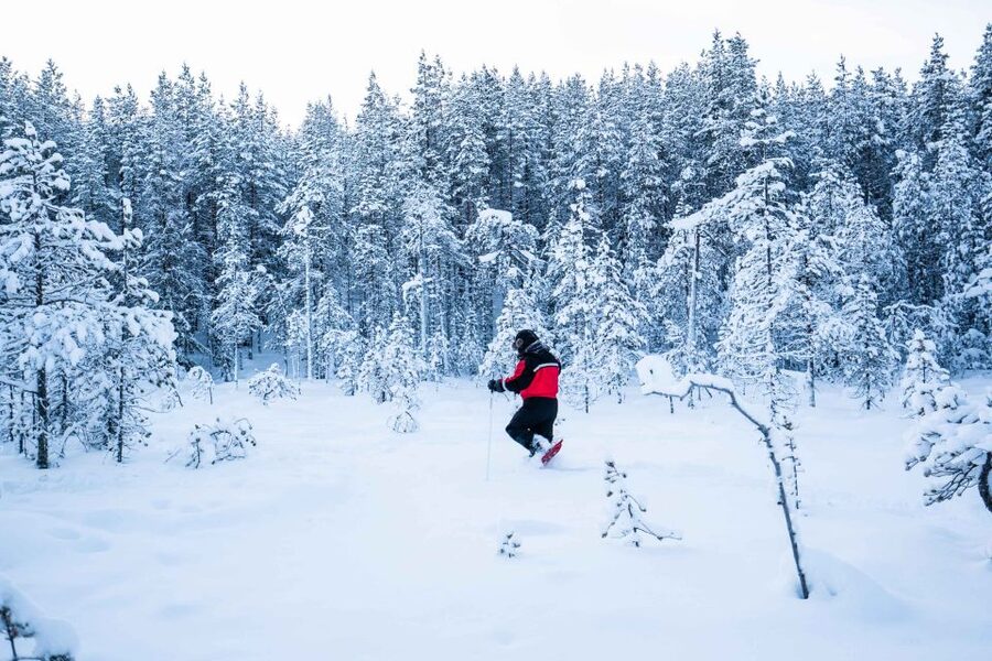 Rovaniemi: Snowshoe Wilderness Adventure - Snowshoes made for deep Arctic snow
