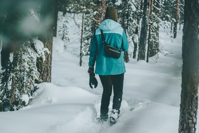 Rovaniemi: Snowshoeing in a magical snowy forest - Key points to know before booking
