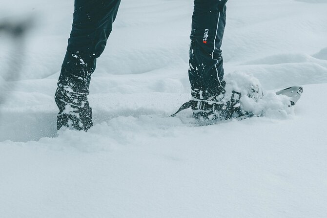 Rovaniemi: Snowshoeing in a magical snowy forest - What the 1.5-hour snowshoe walk is really like