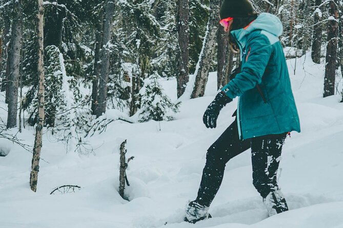 Rovaniemi: Snowshoeing in a magical snowy forest - Photographs that preserve the day