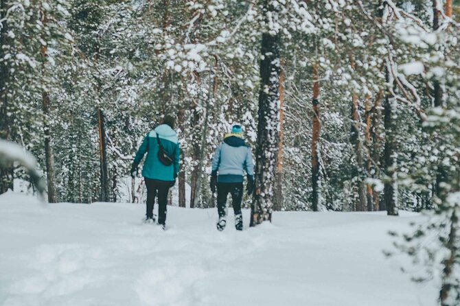 Rovaniemi: Snowshoeing in a magical snowy forest - Why the small group changes the experience