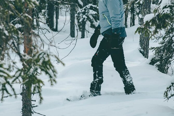 Rovaniemi: Snowshoeing in a magical snowy forest - What you are paying for at $98.33