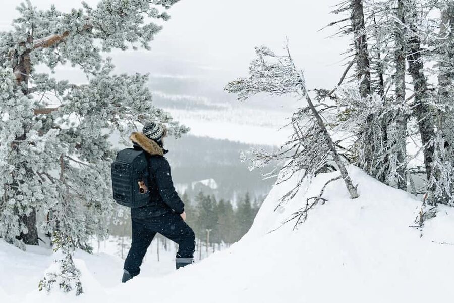 Rovaniemi: Snowshoeing in the Arctic Wilderness - From Central Rovaniemi to the Snow