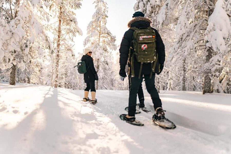 Rovaniemi: Snowshoeing in the Arctic Wilderness - Forest Stories, Wildlife, and Arctic Traditions