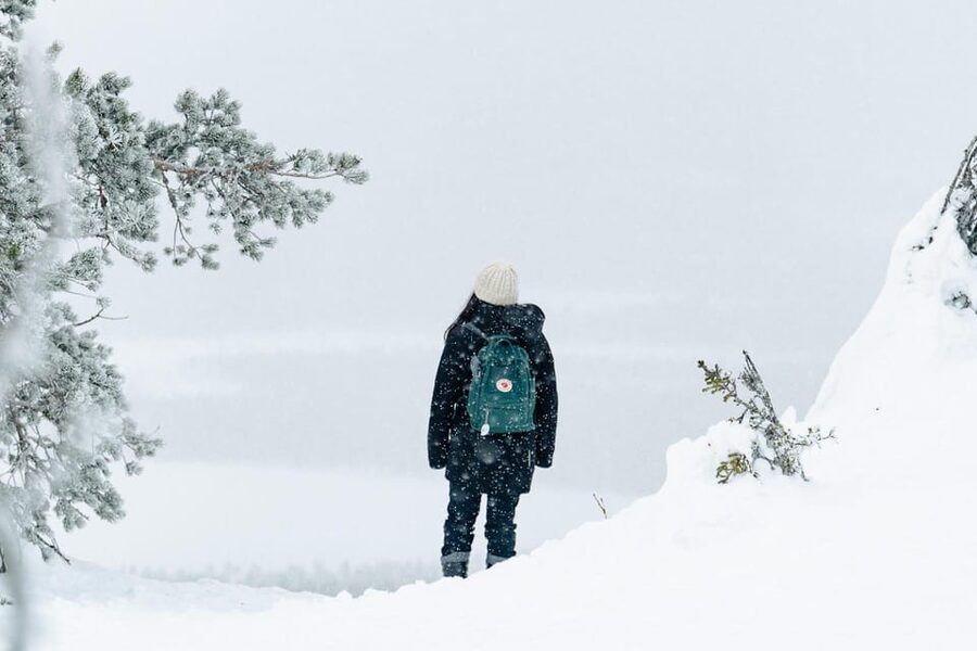 Rovaniemi: Snowshoeing in the Arctic Wilderness - Who Will Enjoy This Most?