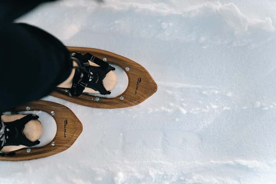 Rovaniemi: Snowshoeing in the Arctic Wilderness - Booking Details Worth Noting