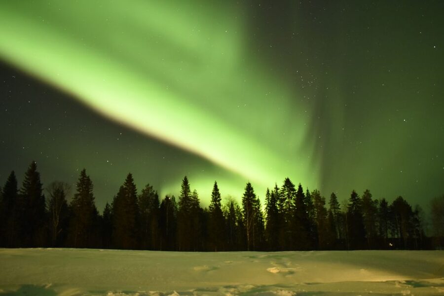 Rovaniemi: Snowtrain to Northern Lights Camp - Small details that can make the night better