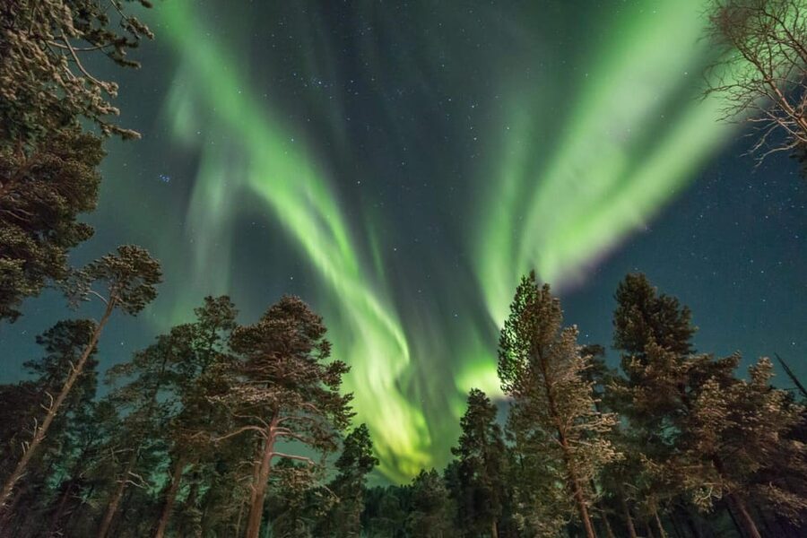 Rovaniemi: Snowy Forest Night Hike with Northern Lights - Key points at a glance