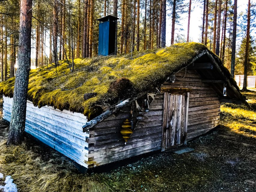 Rovaniemi: Summer Reindeer Farm Experience - Arriving at an Authentic Reindeer Farm