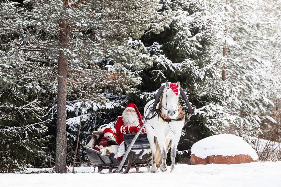 Rovaniemi: Traditional Finnhorse Sleigh Ride at SCV (3km) - Key points to know before you book