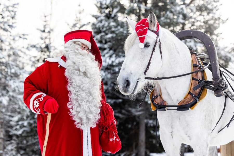 Rovaniemi: Traditional Finnhorse Sleigh Ride at SCV (3km) - Boarding the sleigh for a 3km forest ride