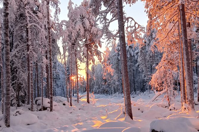Rovaniemi: Trip to Ranua Zoo with Tickets Included - Three hours inside Ranua Wildlife Park