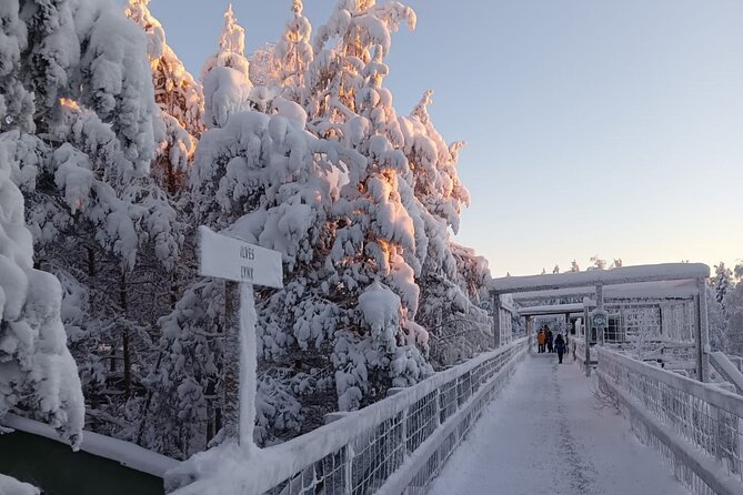 Rovaniemi: Trip to Ranua Zoo with Tickets Included - The animals you might see, and the ones you might miss