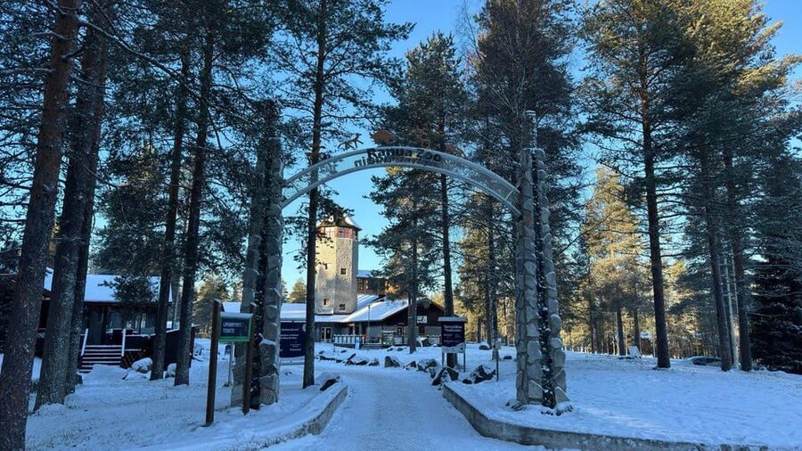Rovaniemi: trip to the Ranua Zoo (transportation, tickets) - Key points to know before booking