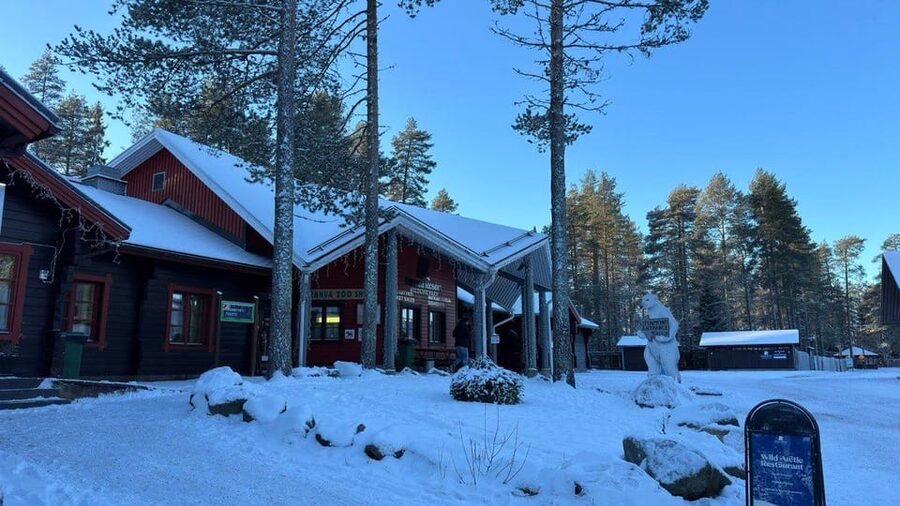 Rovaniemi: trip to the Ranua Zoo (transportation, tickets) - Family appeal and the value of a self-guided rhythm