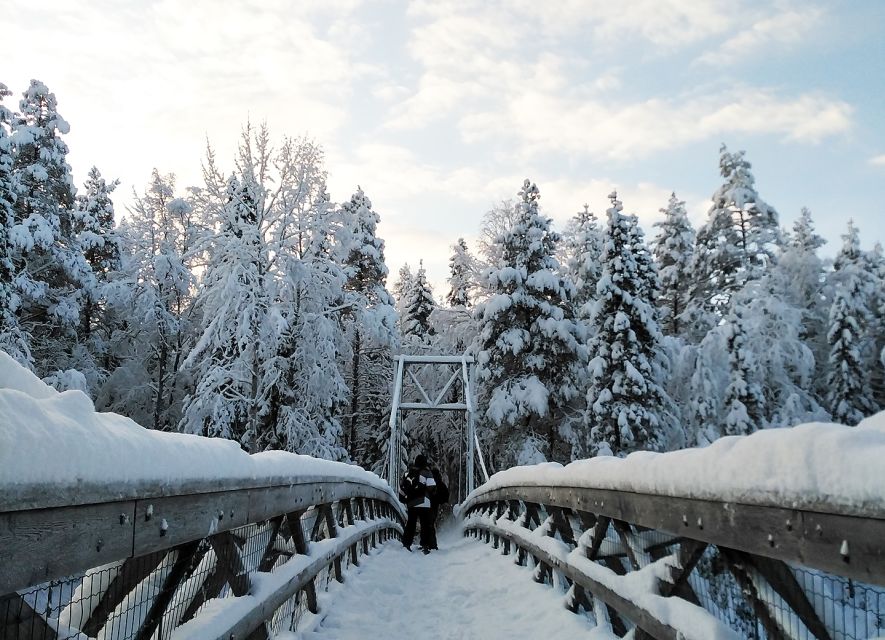 Rovaniemi: Vaattunki Hiking Arctic Circle Trail - Key points at a glance