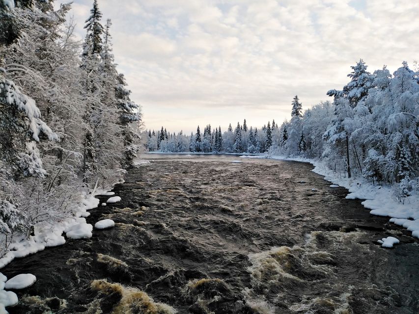 Rovaniemi: Vaattunki Hiking Arctic Circle Trail - Who should book this experience?
