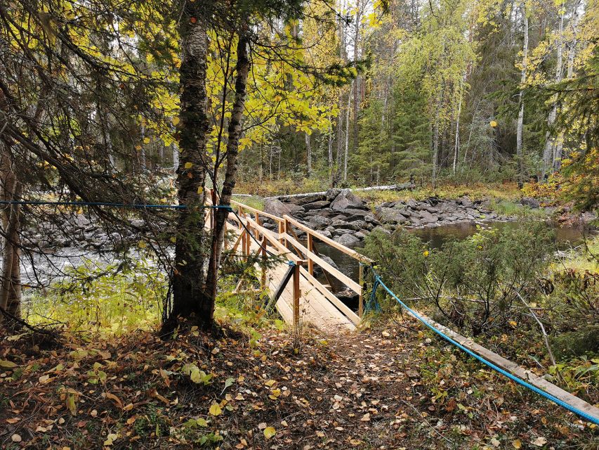 Rovaniemi: Vaattunki Hiking Arctic Circle Trail - Crossing the Arctic Circle on foot