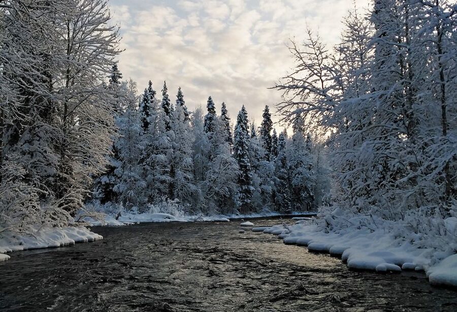 Rovaniemi: Vaattunki Hiking Arctic Circle Trail - The open-fire break with sausages and hot drinks