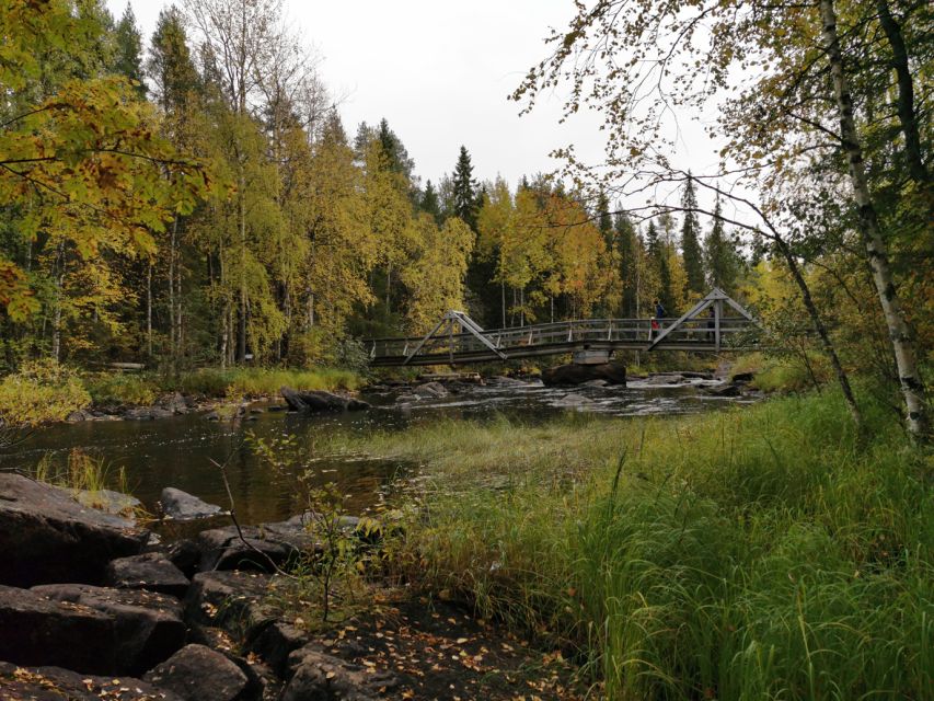 Rovaniemi: Vaattunki Hiking Arctic Circle Trail - The guide makes the biggest difference