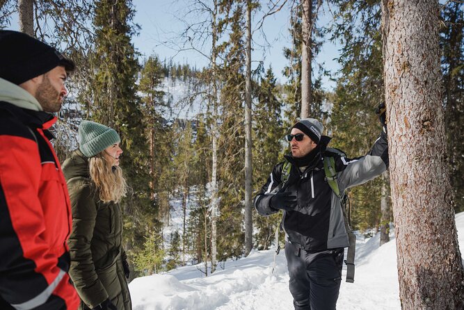 Rovaniemi - Visit to The Frozen Waterfalls of Korouoma - Value, timing, and practical tradeoffs