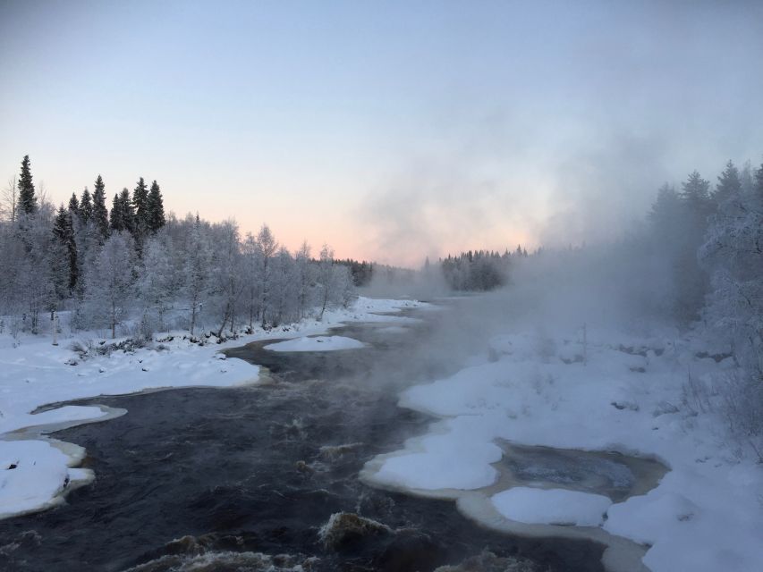 Rovaniemi: Wilderness Tour - The Viewpoint And Campfire Stop