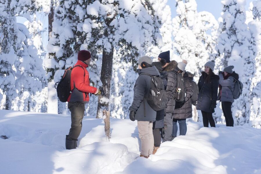 Rovaniemi: Wilderness Tour - Starting Out From Rovaniemi