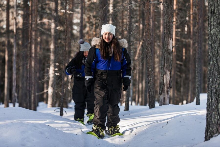 Rovaniemi: Winter Wilderness Snowshoeing Trip - What to know before you book