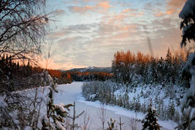 Rovaniemi: Winter Wonderland Vikaköngäs Hiking Tour & BBQ - From Rovaniemi to the Vikaköngäs forest