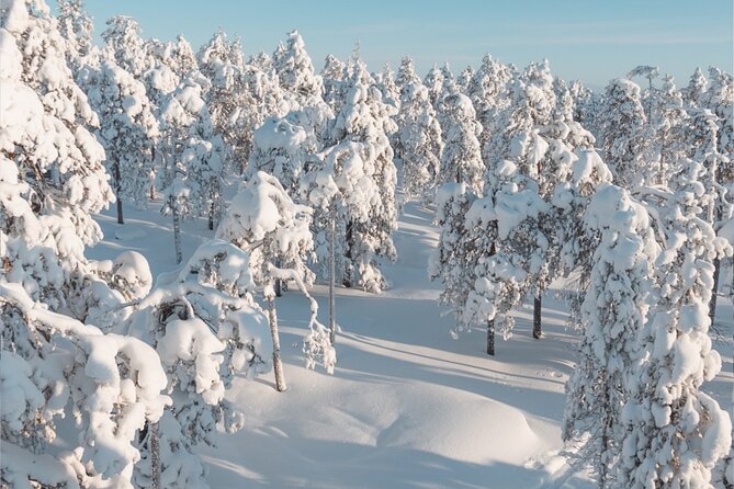 Rovaniemi: Winter Wonderland Vikaköngäs Hiking Tour & BBQ - Who should book this experience?