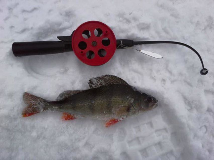 Ruka: Ice fishing trip - Is $111 a fair price?