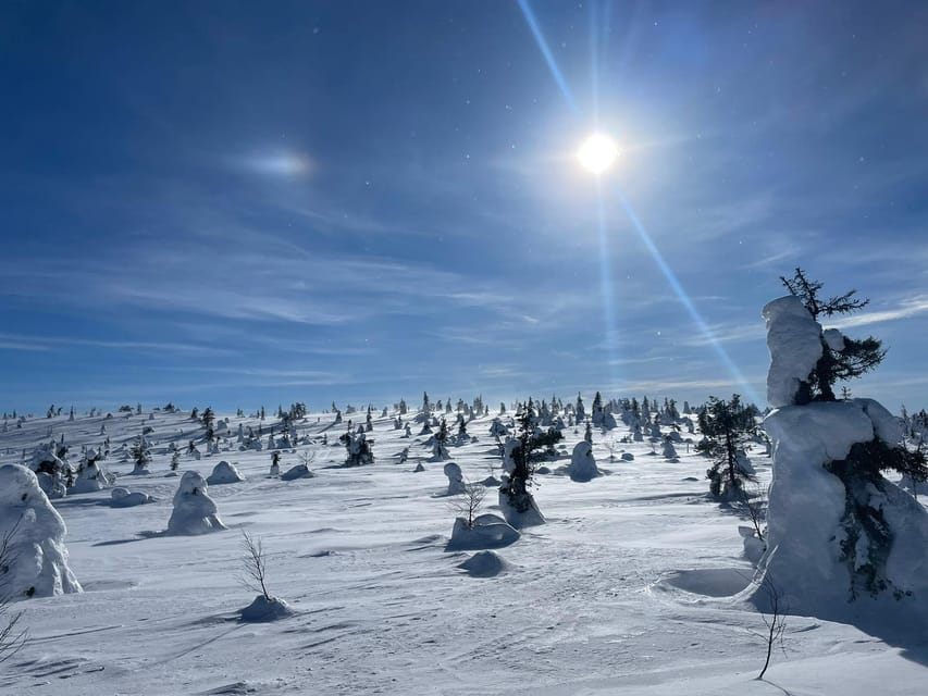 Ruka: Riisitunturi National Park with lunch. - Key points at a glance