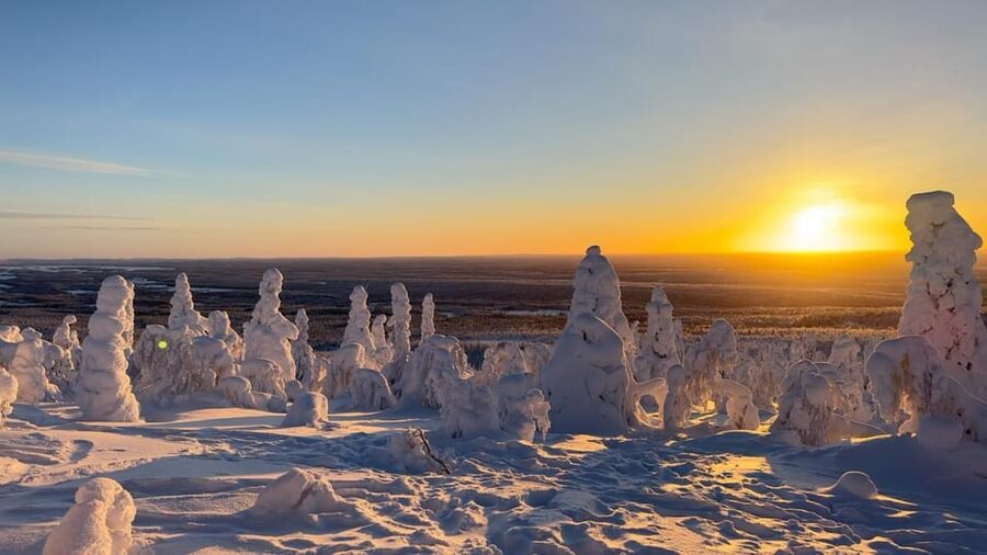 Ruka: Riisitunturi National Park with lunch. - Why Riisitunturi makes a good day from Ruka