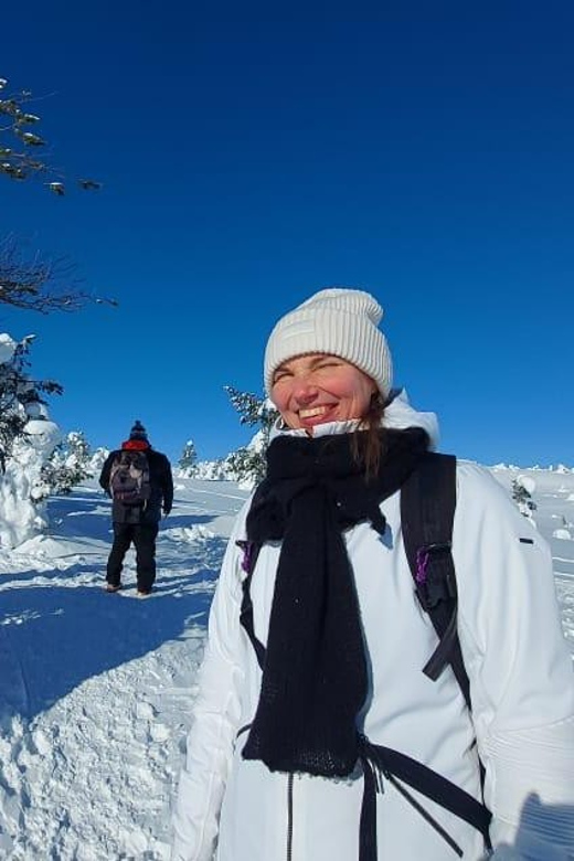 Ruka: Riisitunturi National Park with lunch. - Wildlife, viewpoints, and the chance to slow down