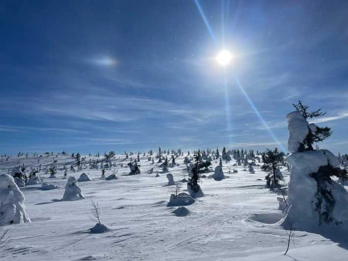 Ruka: Riisitunturi National Park with lunch. - Is $170 good value?