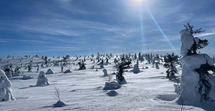 Ruka: Riisitunturi National Park with lunch. - Pickup from Ruka, Kuusamo, or Posio