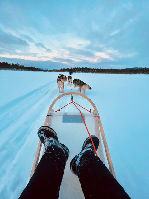Saariselkä: 10KM Husky Safari with kennel visit - Key points to know before you book