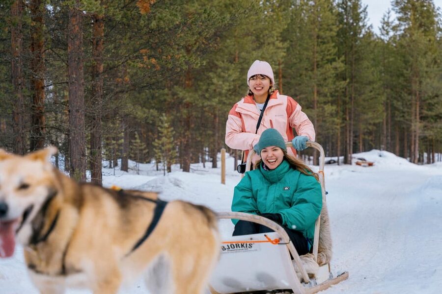 Saariselkä: 10KM Husky Safari with kennel visit - Taking control of your own husky sled
