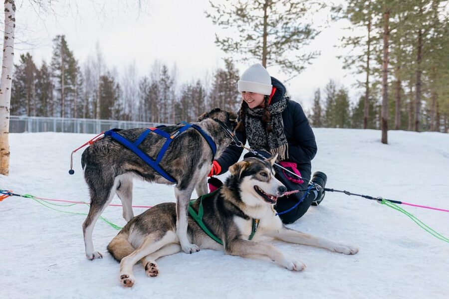 Saariselkä: 10KM Husky Safari with kennel visit - Warming up in the kota after the ride