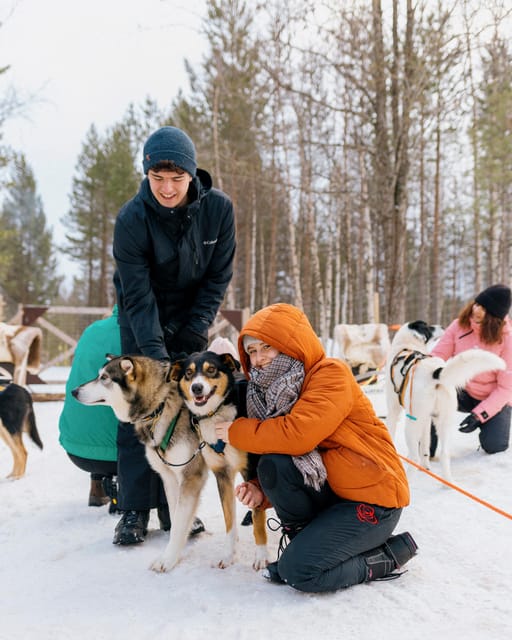 Saariselkä: 10KM Husky Safari with kennel visit - What the $234 price really buys you