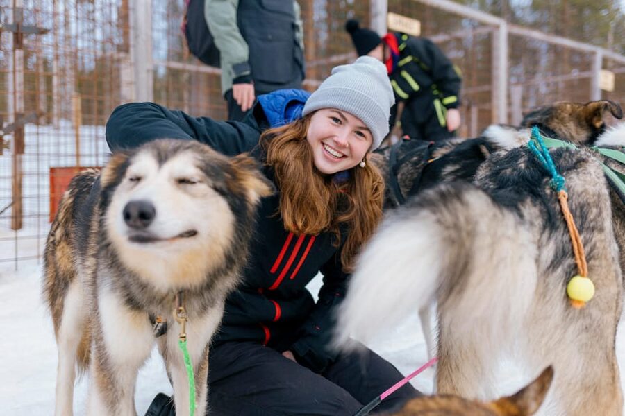 Saariselkä: 10KM Husky Safari with kennel visit - Group size and the promise of a personal outing