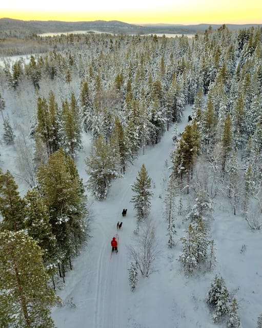 Saariselkä: 10KM Husky Safari with kennel visit - Safety instructions before the 10-kilometer run