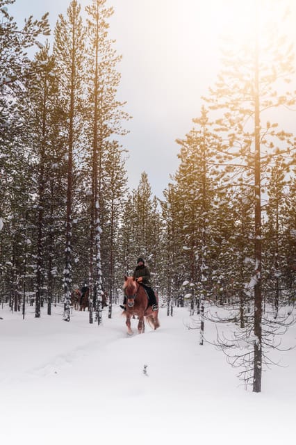 Saariselkä: Arctic Trail Horse Riding Tour - Arriving at Polaris Point Horses