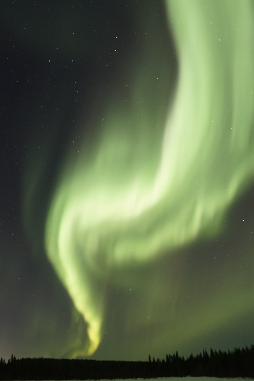 Saariselkä: Aurora Photo Tour by Car with Transfer & Drinks - Booking details worth handling carefully